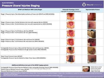 Algorithm Quick Reference Pressure Ulcer Injury