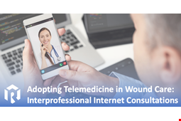 Interprofessional Internet Consultations with the WoundReference TeleVisit Tool